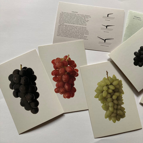 POSTALCO Set of 7 Cards